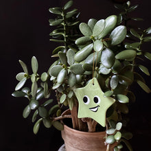 Green Quiplash Star ornament hanging in a potted Jade plant